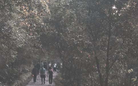 ���㔢�����ģ���ɽ