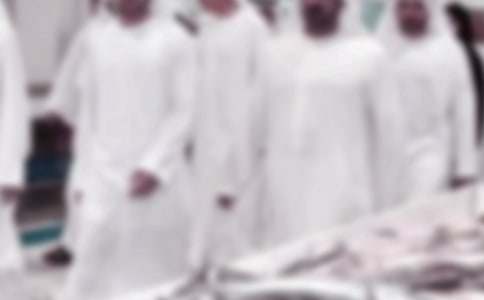 �ϰ���������