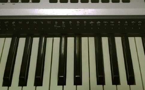 電子琴初二作文