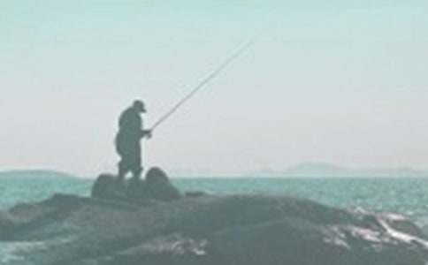 ��~�Ć�ʾ-����