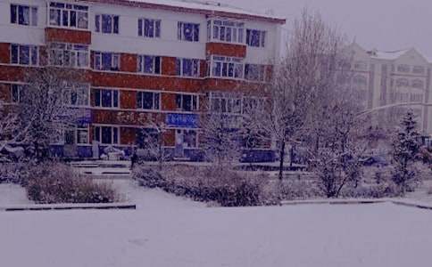 作文冬日里的一縷陽光