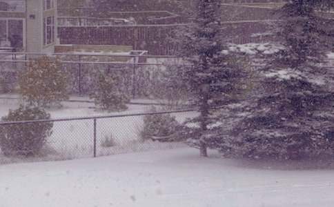 �����յ�ꖹ�����