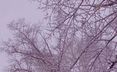 形容冬日暖陽的詞語