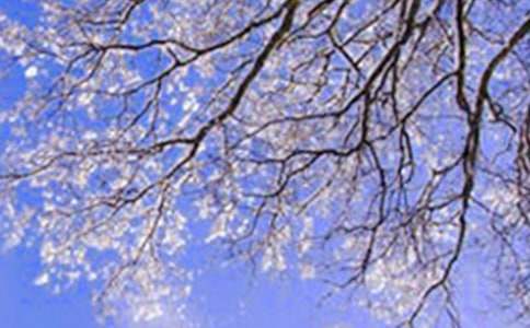 �����С������