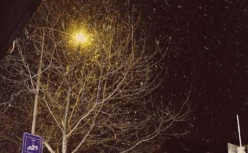 ���P��������