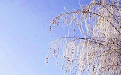 �茑����ĸ������ģ����x10ƪ��