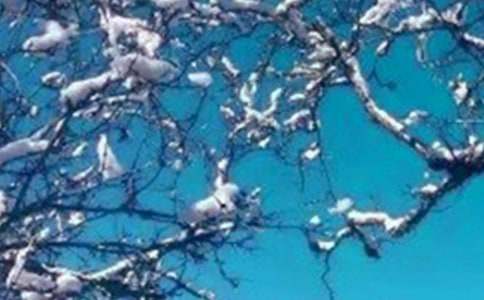 �����Ķ�������250��