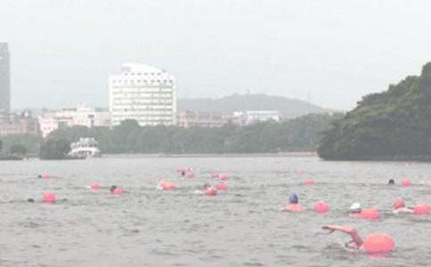 去冬泳的敘事作文