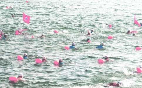 有關冬泳的作文(通用18篇)