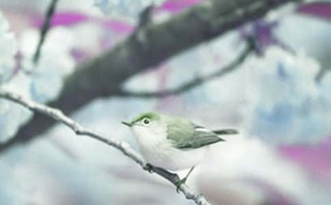 �^���ֲ������ģ�ͨ��24ƪ��