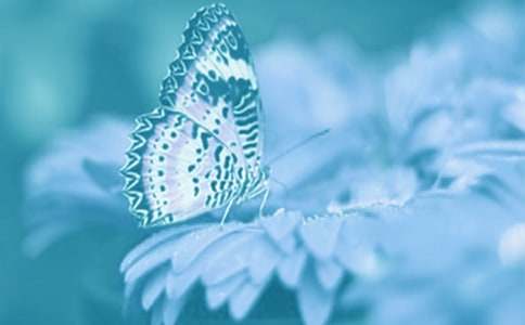 �^���ֲ��l������