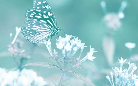 �^���ֲ�������800��