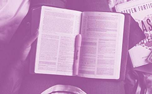 �L�c��ĸ��x�������