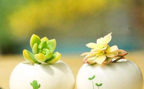 �ҵ�С��������350��