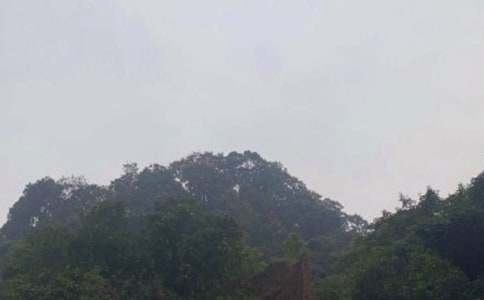 �Ĵ���üɽ300��_���꼉����_С�W����