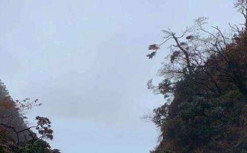 ��üɽ��ӛ600������