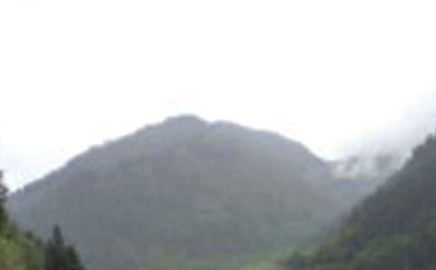 �ζ�üɽ����500��