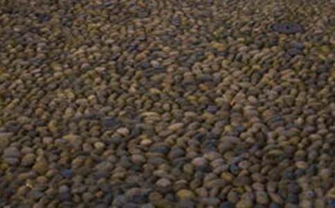 һö�Z��ʯ����700�֣�ͨ��15ƪ��