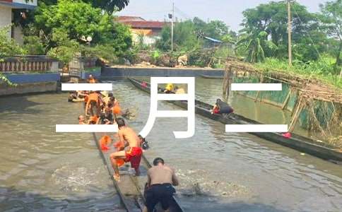 農歷二月二炒豆子的習俗