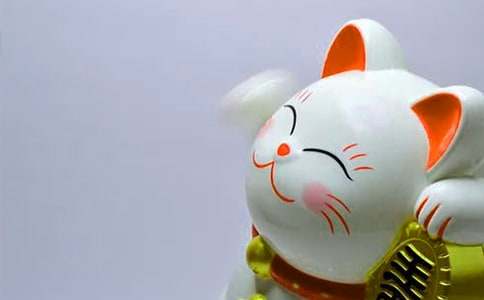 【精選】發財樹作文四篇