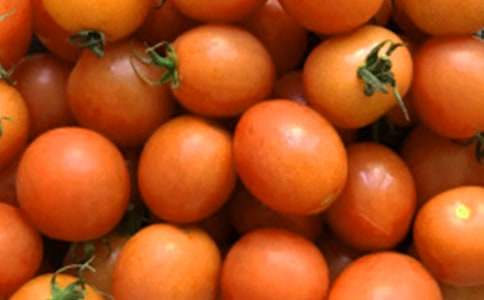 我的小番茄作文