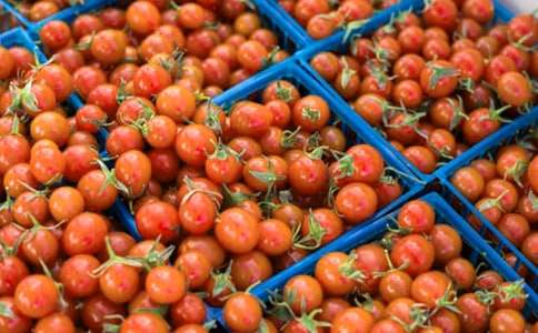 ����С�W���ģ����x33ƪ��