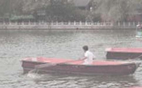 【精】科海泛舟作文