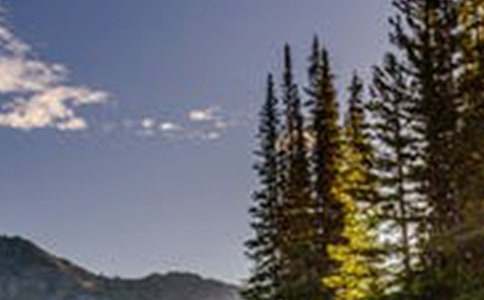 �茑�Sɽ�L�������ģ�ͨ��32ƪ��