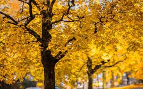 ������ס�@Ƭ�L�����ģ����x36ƪ��