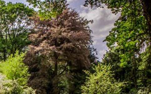 ���˵��L������600�֣����x46ƪ��