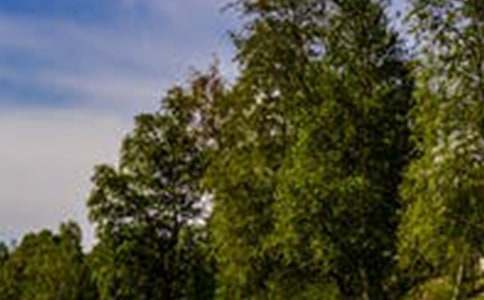 ɽ픵��L�����ģ����x20ƪ��