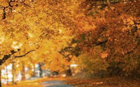 ���x��߅�L������34ƪ