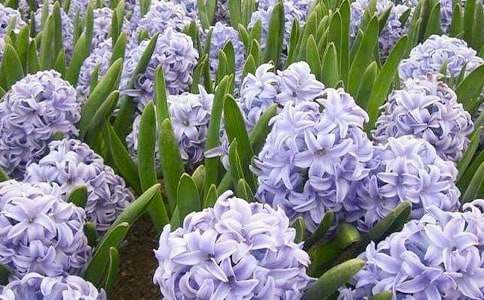 �L���ӵ�ӛ����������