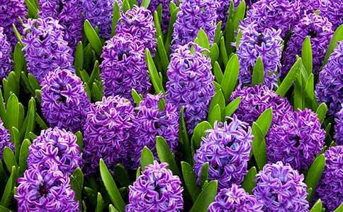 �茑�L���ӵ�����8ƪ