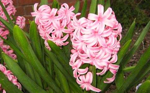 �ҵ��L�������ģ����x25ƪ��