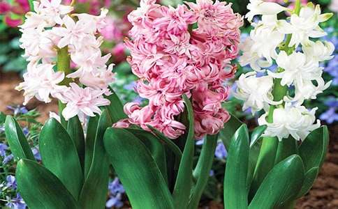 �Ґ��L����С�W����