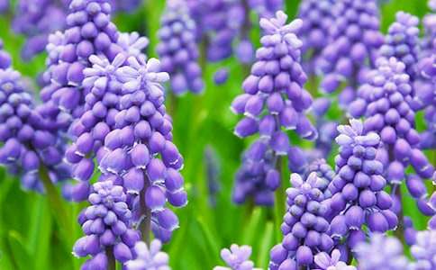 �������L�������ľ��x7ƪ