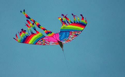 ���L�~���g�̌W�̰�