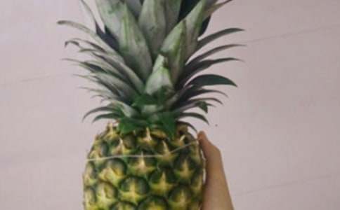 紅星鳳梨的花語是什么