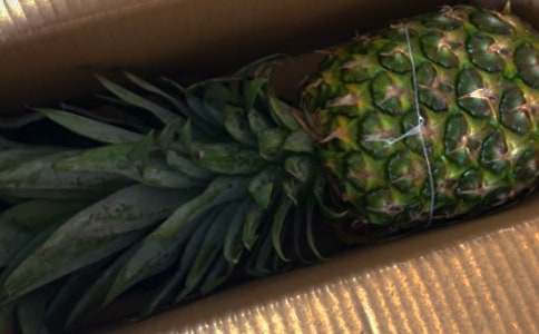 �P�������400��