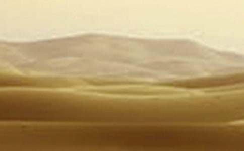 �P��������λ�Į���͸ɺ������ģ����o�h��