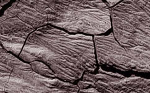 �ɺ��Ŀ��y����500�֣����x17ƪ��