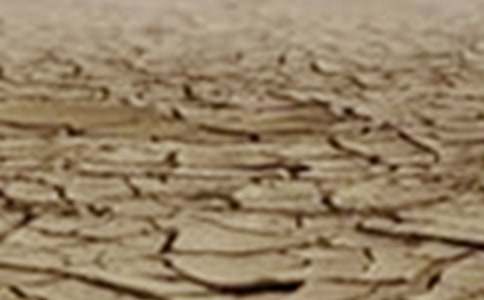 �P�����ϸɺ��Ĺ�������ģ�ͨ��18ƪ��