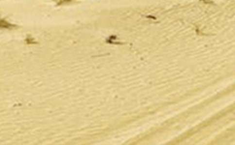 �����ֹ��Į���͸ɺ��գ���ϧˮ�YԴ