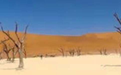 ���ϸɺ��ĸ���800������