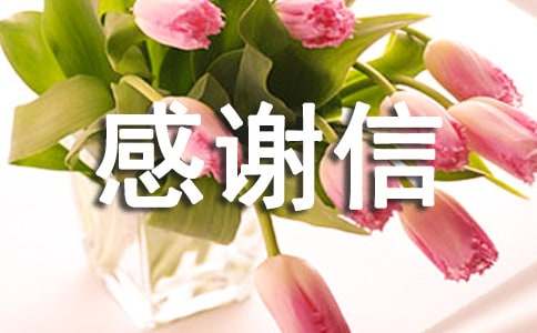 關于感謝信作文匯總六篇