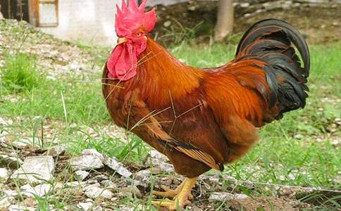 δ���Ĺ��u����3ƪ