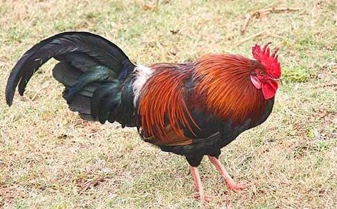 ���Ĺ��uͯԒ���ĺϼ�5ƪ