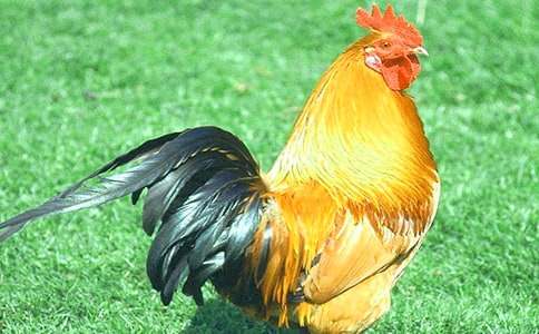 ���u���꼉����900��