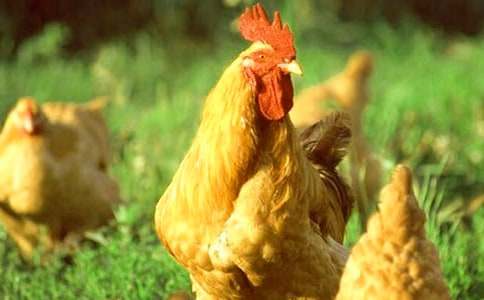 ���꼉���g����̰����G���Ĵ��u����ͨ��14ƪ��